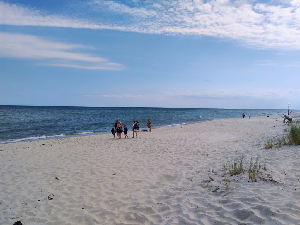 The Baltic coast